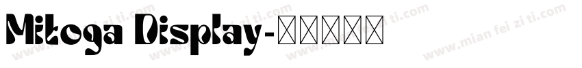Mitoga Display字体转换